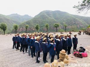 实践教学