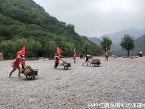 实践教学