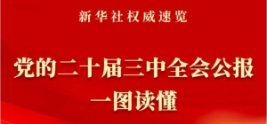党的二十届三中全会公报一图读懂
