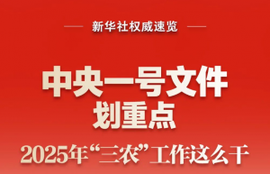 中央一号文件划重点，2025年“三农”工作这么干